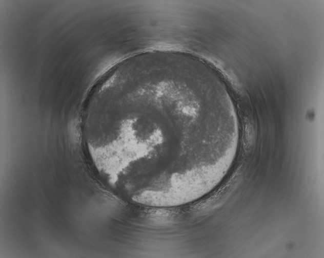 X0000116861266201001191654