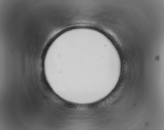 X0000116861267201001191654