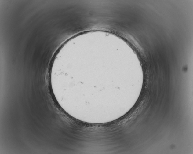 X0000116861268201001191654