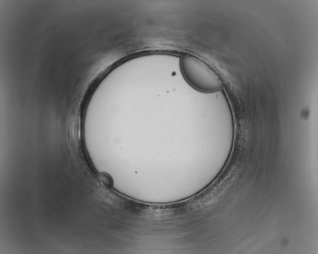 X0000116861269201001191654