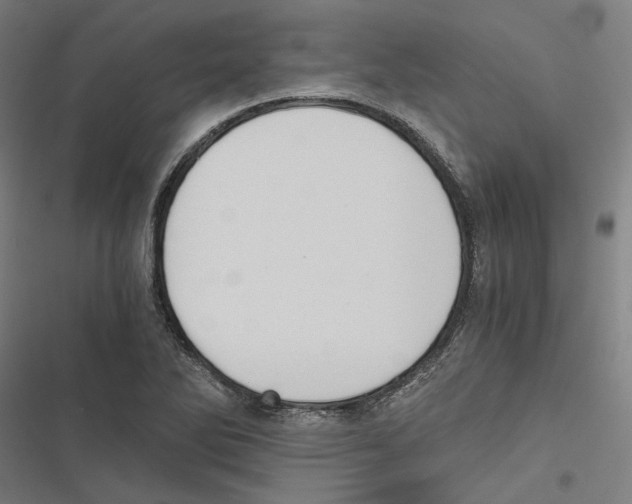 X0000116861270201001191654