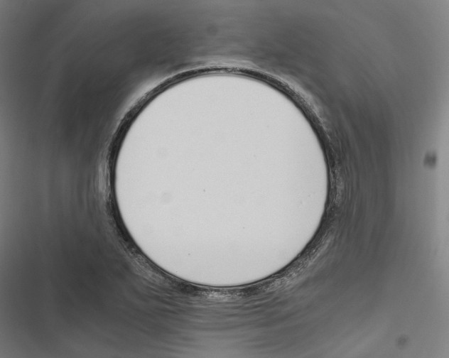 X0000116861271201001191654