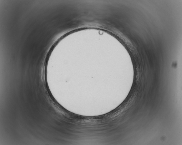 X0000116861272201001191654