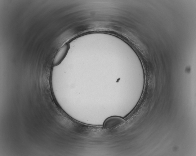 X0000116861273201001191654