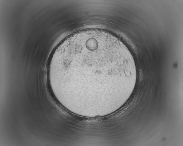 X0000116861274201001191654