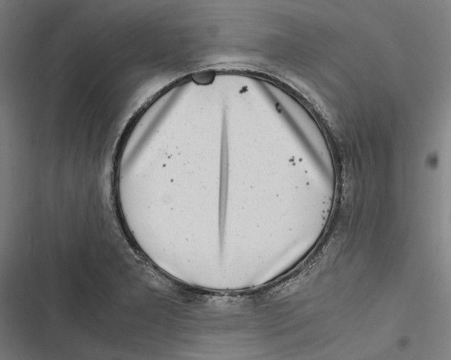 X0000116861277201001191654