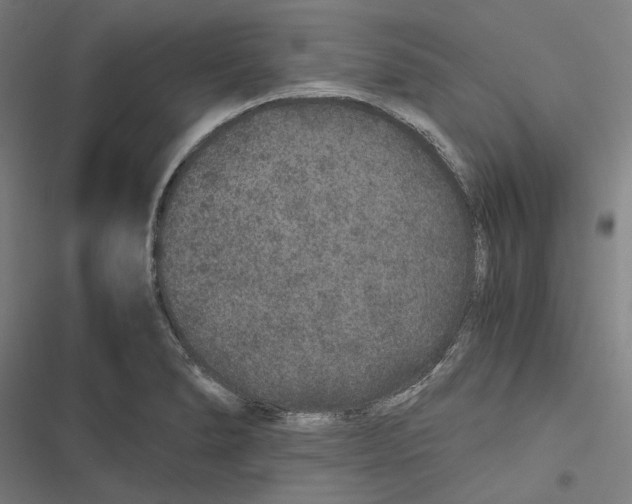 X0000116861278201001191654