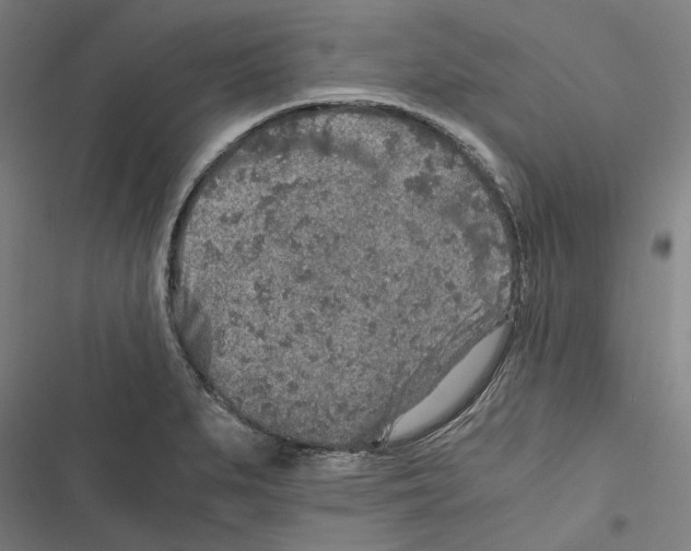 X0000116861279201001191654