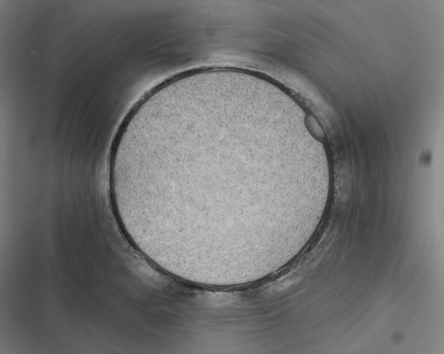 X0000116861280201001191654