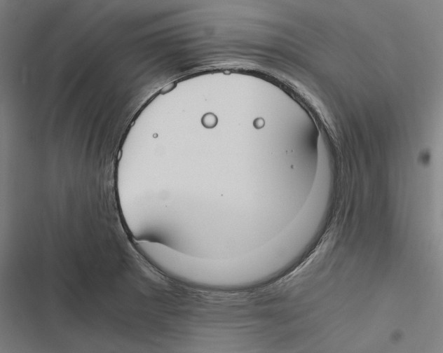 X0000116861281201001191654