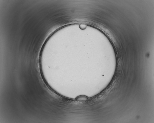 X0000116861283201001191654