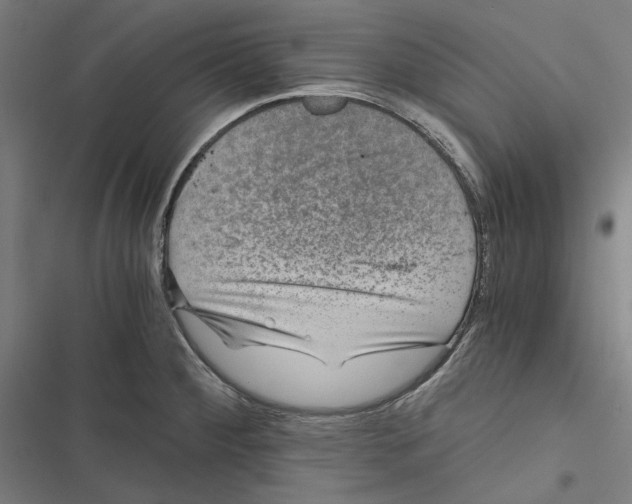 X0000116861284201001191654