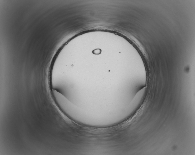 X0000116861285201001191653