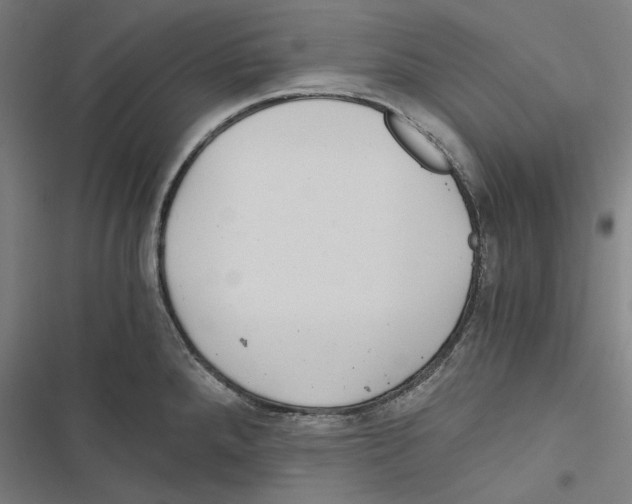 X0000116861288201001191653