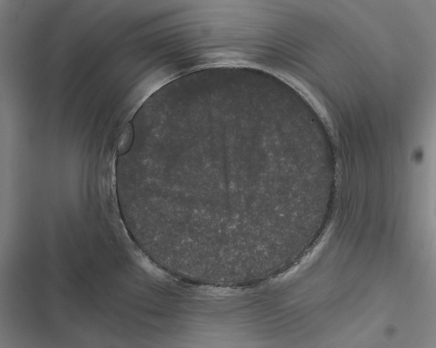 X0000116861289201001191653