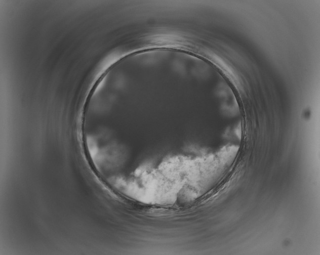 X0000116861291201001191653