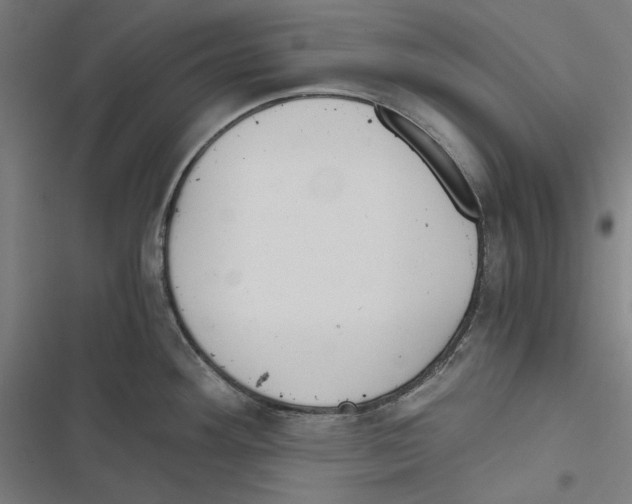 X0000116861292201001191653