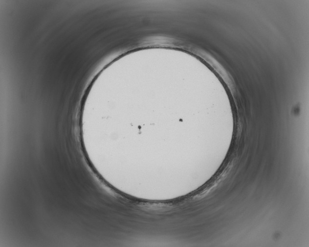 X0000116861293201001191653