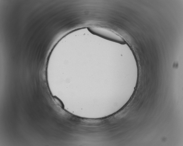 X0000116861296201001191653