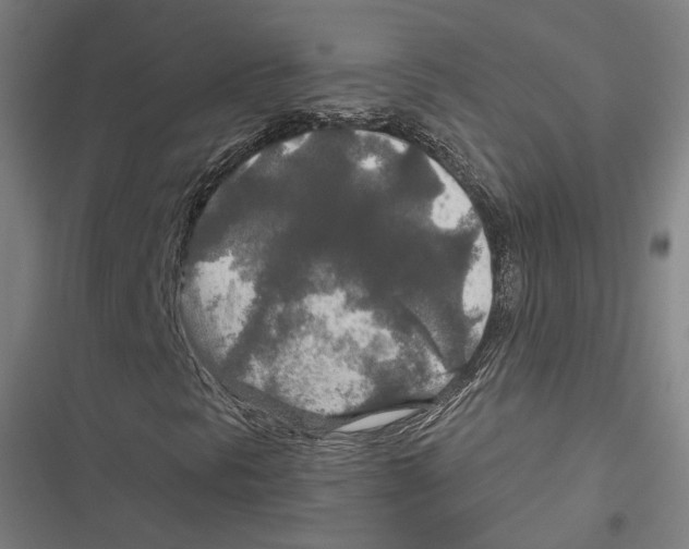 X0000116861297201001191653