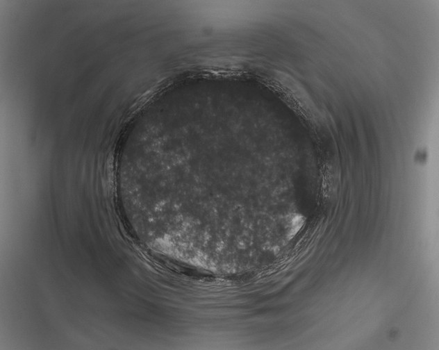 X0000116861298201001191653