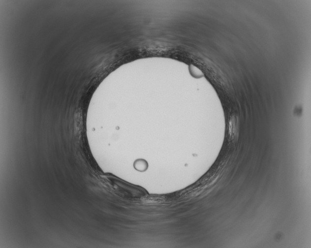 X0000116861299201001191653