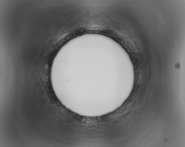 X0000116861301201001191653