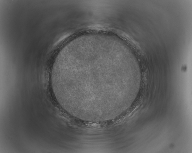 X0000116861302201001191653