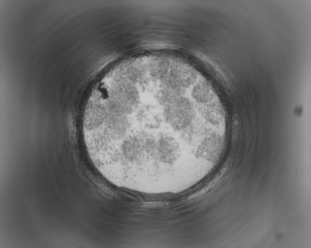 X0000116861305201001191653