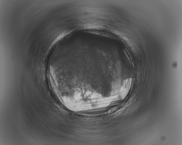 X0000116861306201001191653