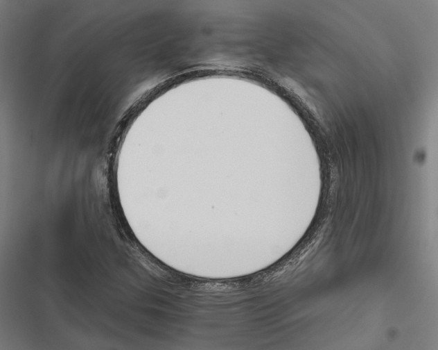 X0000116861307201001191653