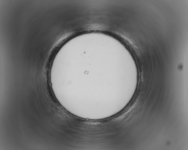 X0000116861309201001191653