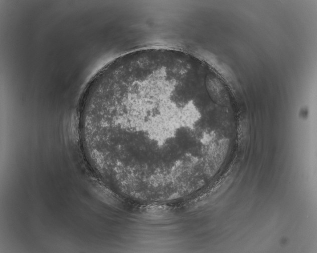 X0000116861310201001191653