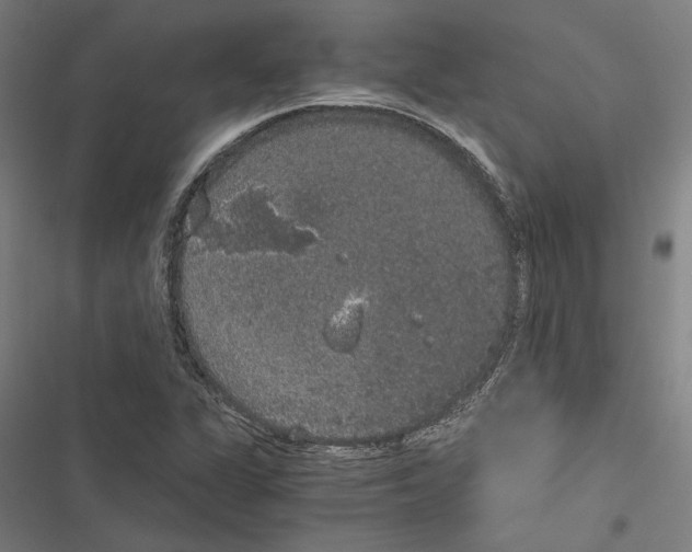 X0000116861311201001191653