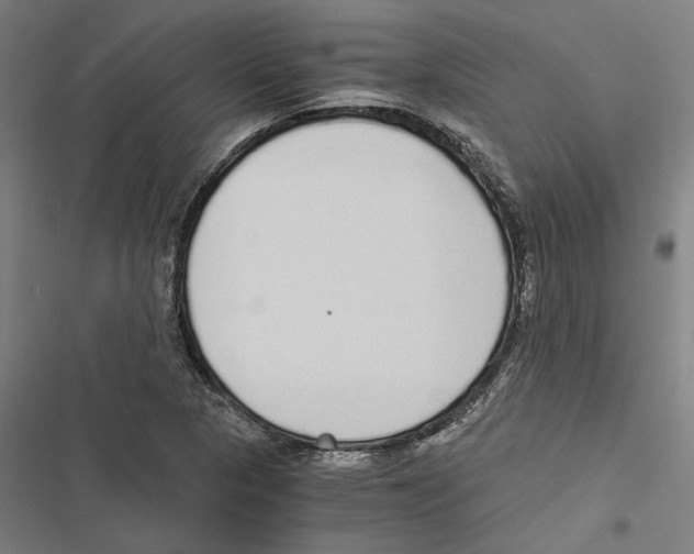 X0000116861313201001191653