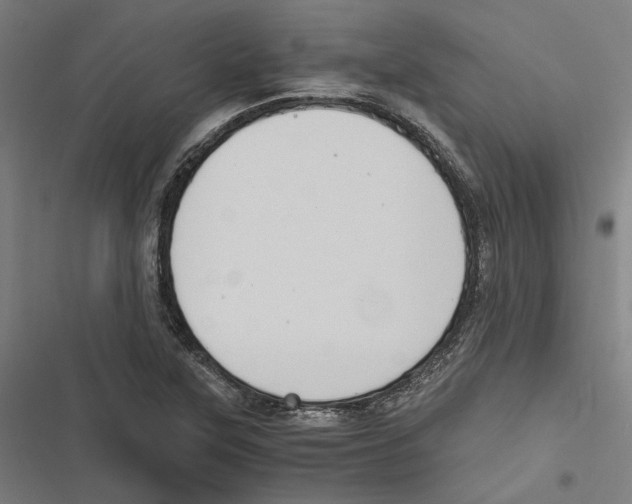 X0000116861315201001191653