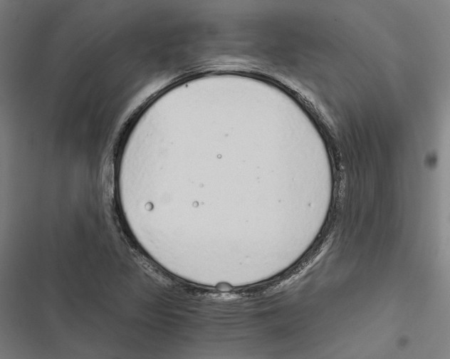 X0000116861317201001191653