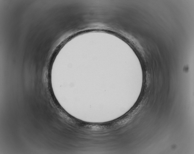 X0000116861318201001191653