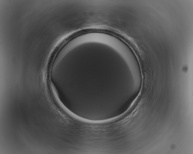 X0000116861319201001191653