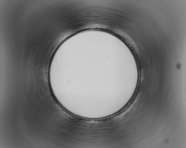 X0000116861321201001191653