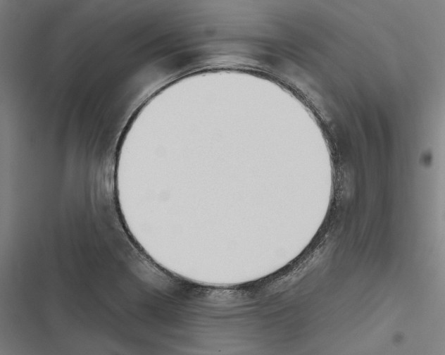 X0000116861322201001191653