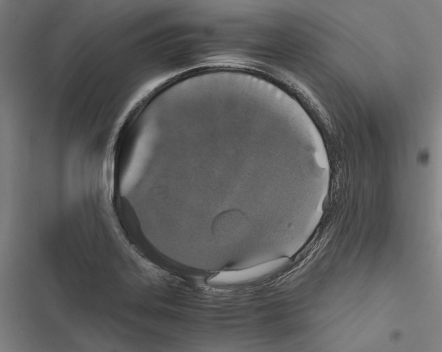 X0000116861323201001191653