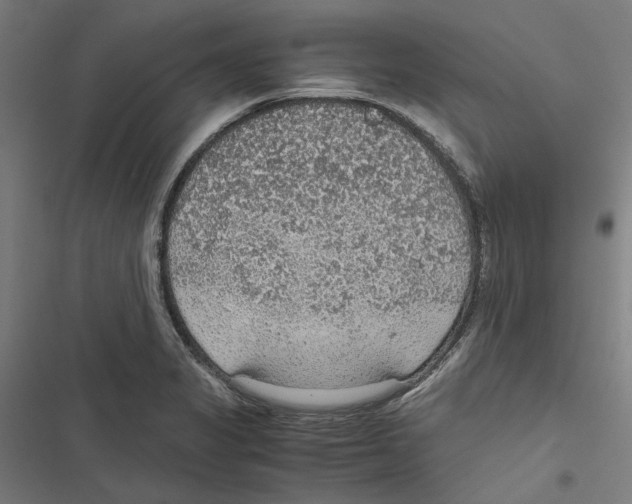 X0000116861325201001191653