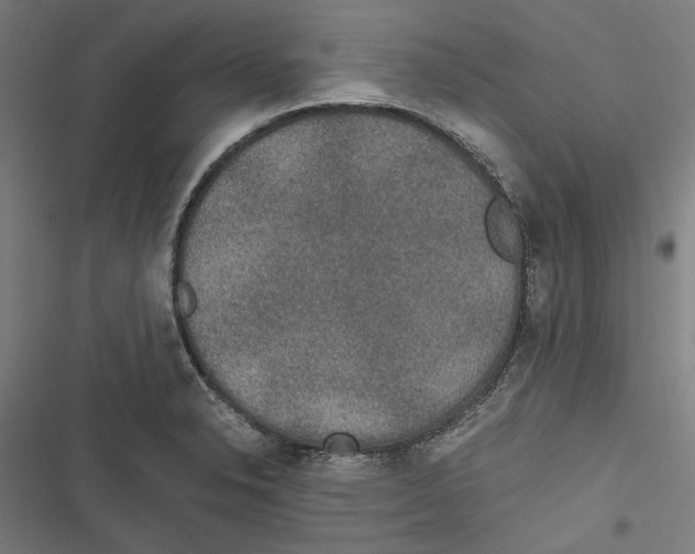 X0000116861326201001191653