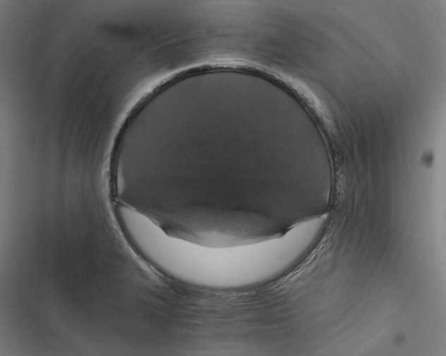 X0000116861327201001191653