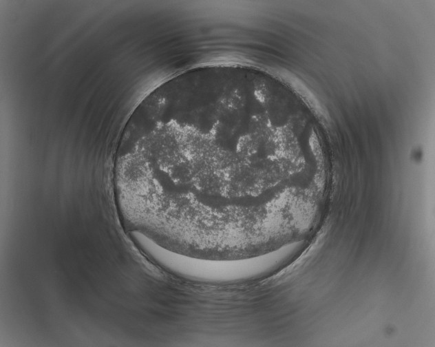 X0000116861329201001191653