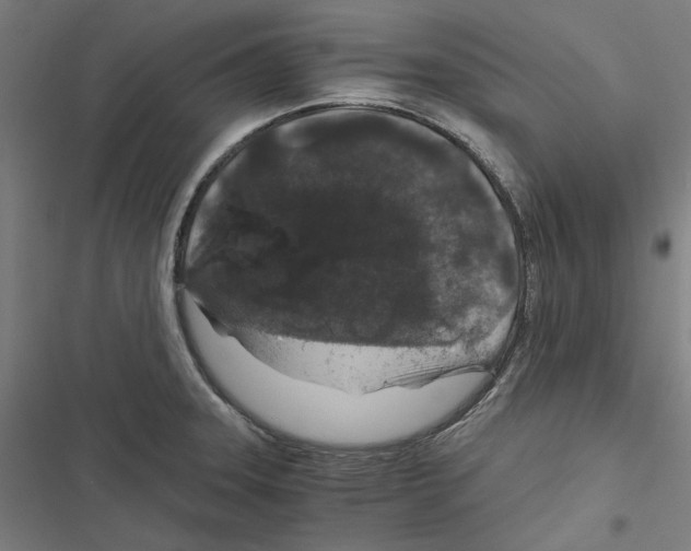 X0000116861331201001191653