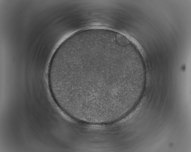 X0000116861333201001191653