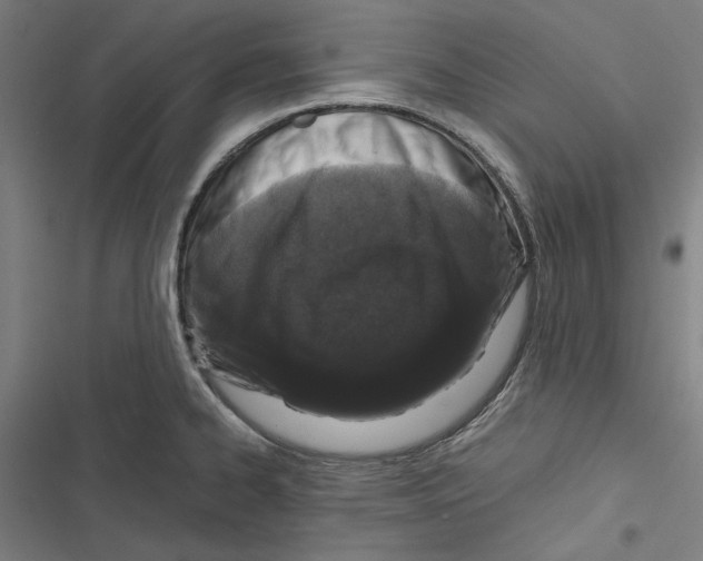 X0000116861334201001191653