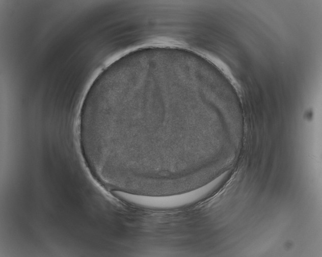 X0000116861335201001191653